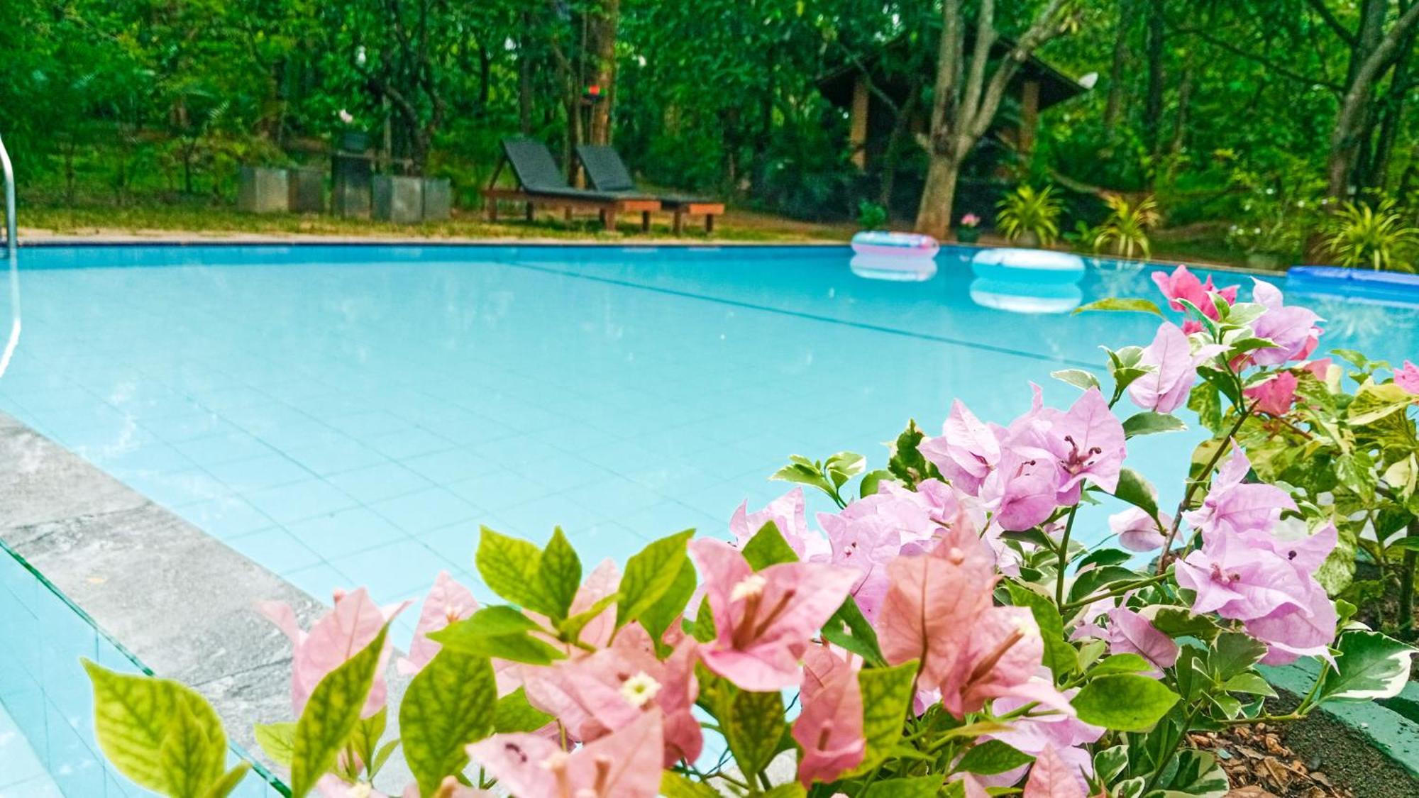 Lotus Eco Villa Sigiriya Eksteriør bilde