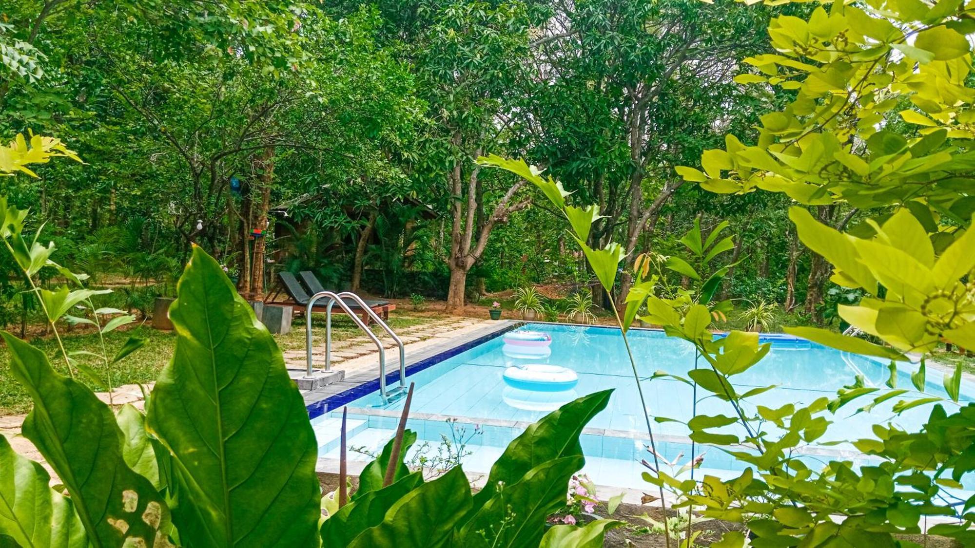 Lotus Eco Villa Sigiriya Eksteriør bilde