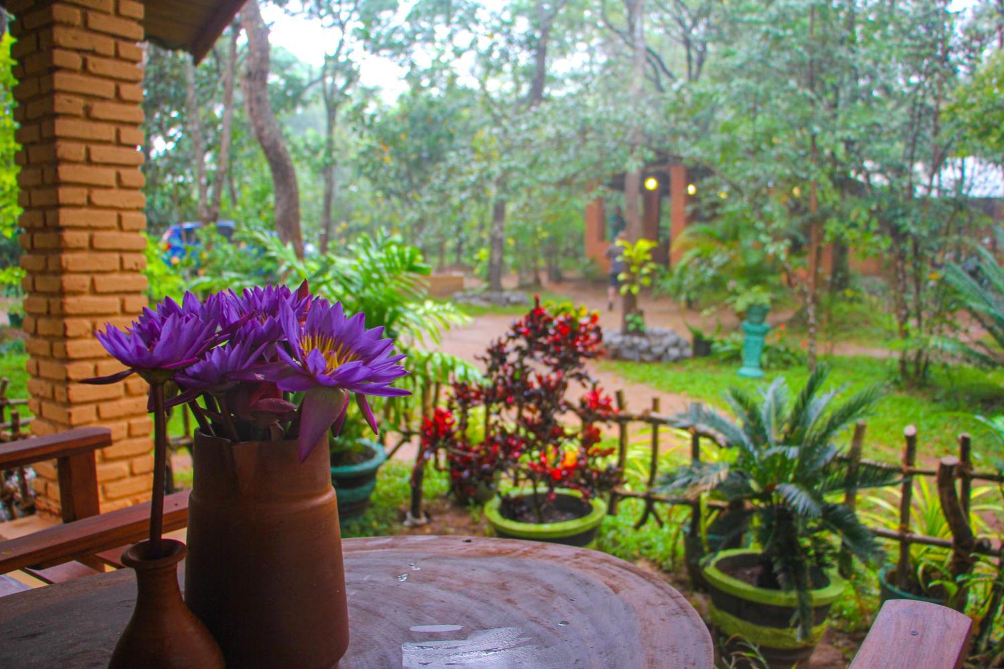 Lotus Eco Villa Sigiriya Eksteriør bilde